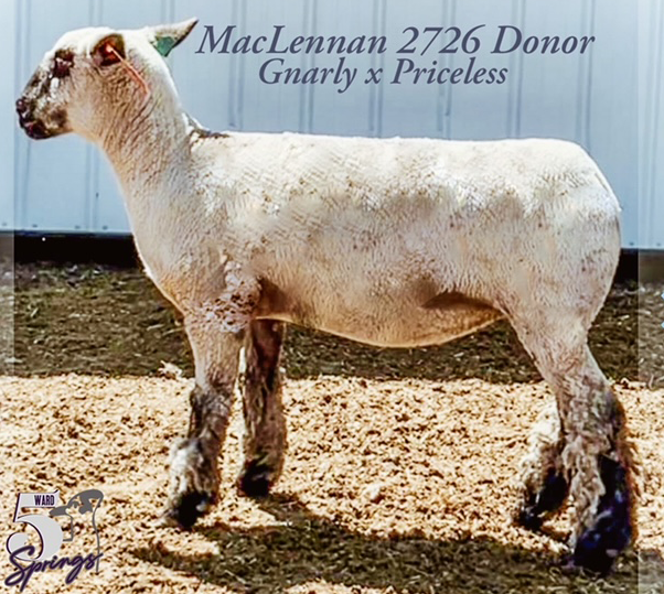 MacLennan 2726